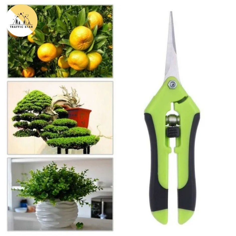 Scissors for cutting branches