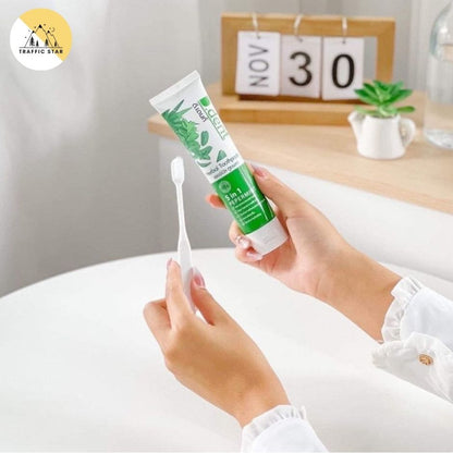 D Dent Herbal Toothpaste 100g