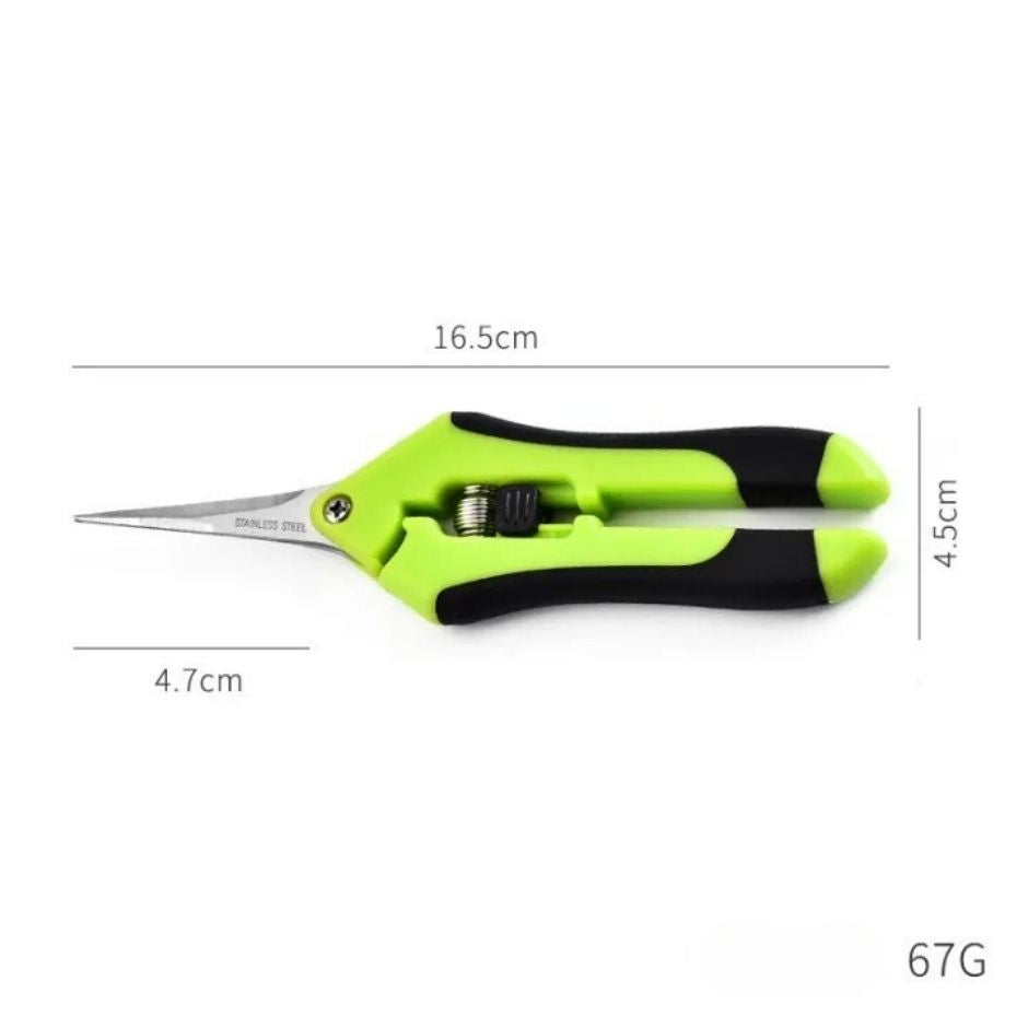 Scissors for cutting branches